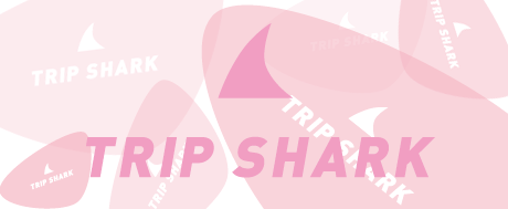 ˥塼֥®󡪡ι͡åȡ׹ΧҤˤ륪ꥸʥ֥ɡTRIP SHARKפо졪