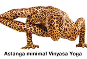 Astanga minimal Vinyasa YogaT